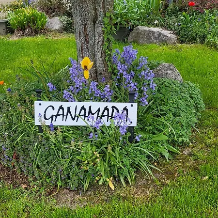 Проживание в семье Ganamapa Мерлимон